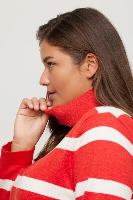 Stripe Fine Knit Turtleneck Sweater in Red