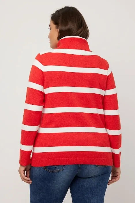 Stripe Fine Knit Turtleneck Sweater in Red