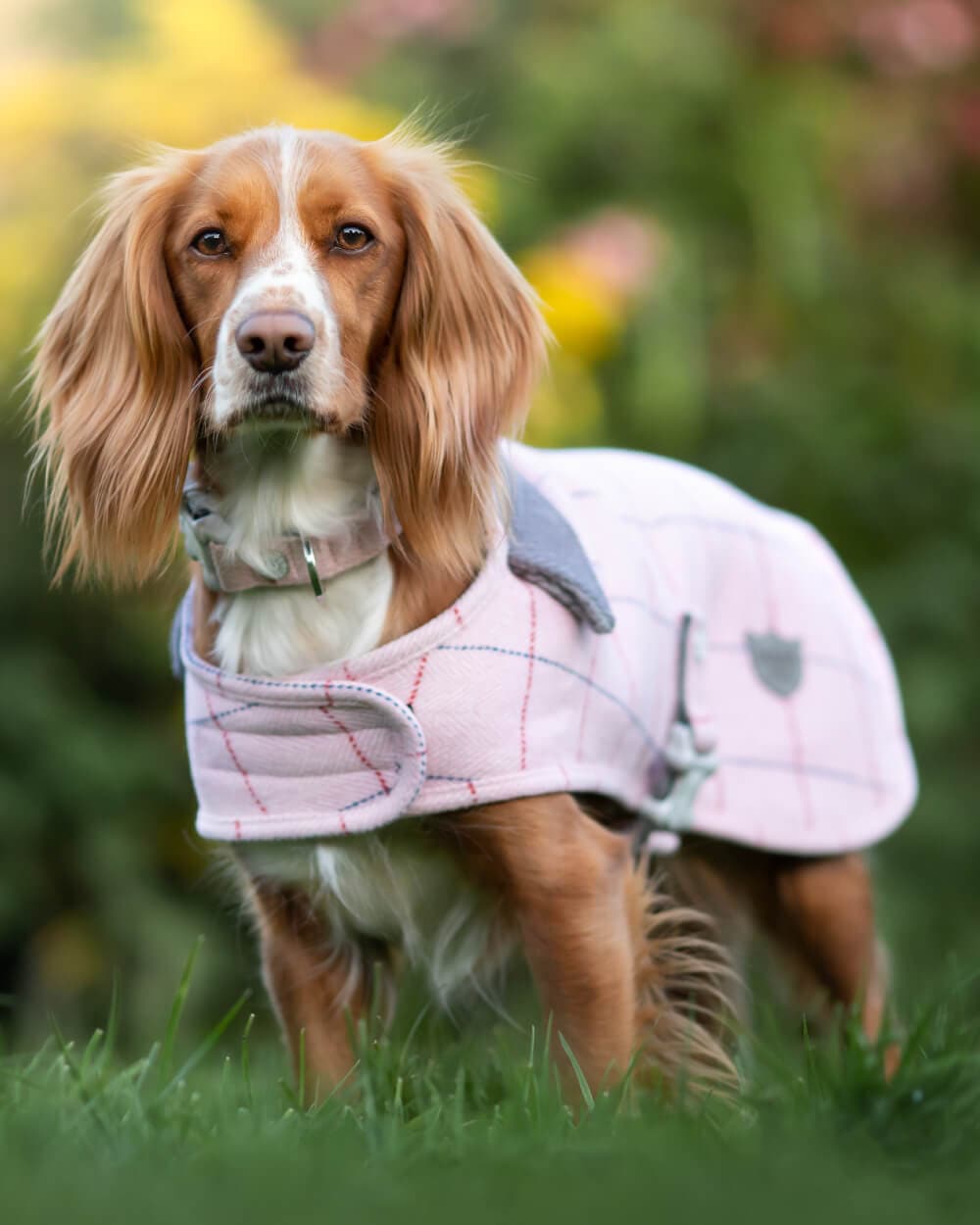 Tweed Fleece Dog Jacket - Pink Checked Herringbone